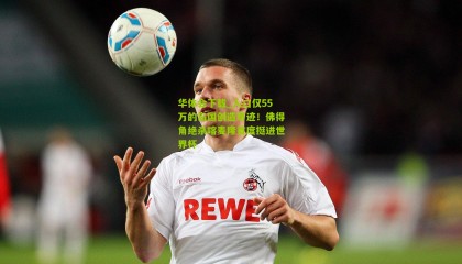 华体会下载_人口仅55万的岛国创造奇迹！佛得角绝杀喀麦隆首度挺进世界杯