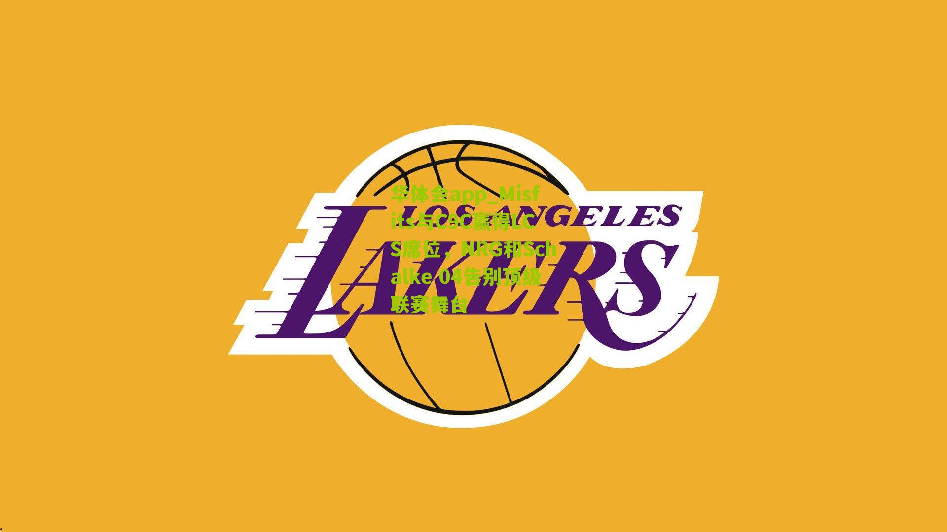 Misfits与C9C赢得LCS席位，NRG和Schalke 04告别顶级联赛舞台