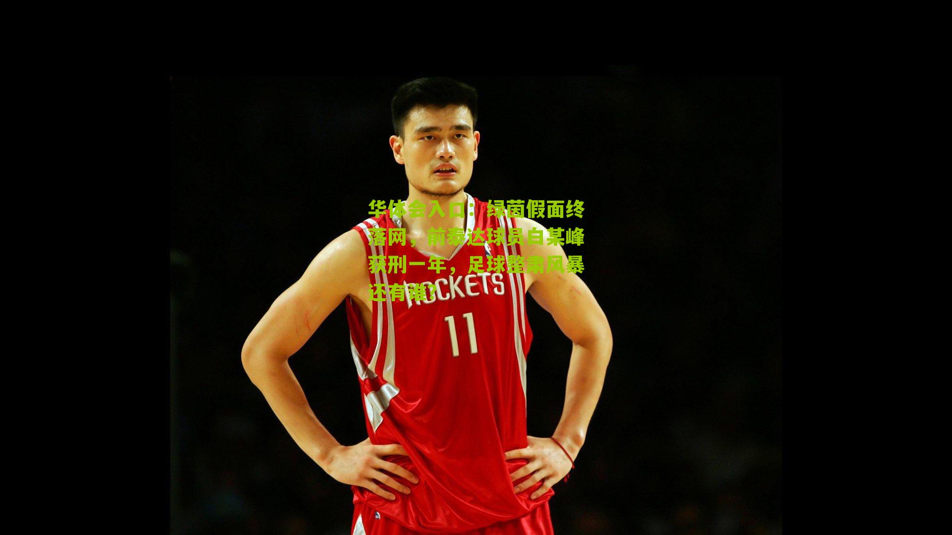 绿茵假面终落网，前泰达球员白某峰获刑一年，足球整肃风暴还有谁？